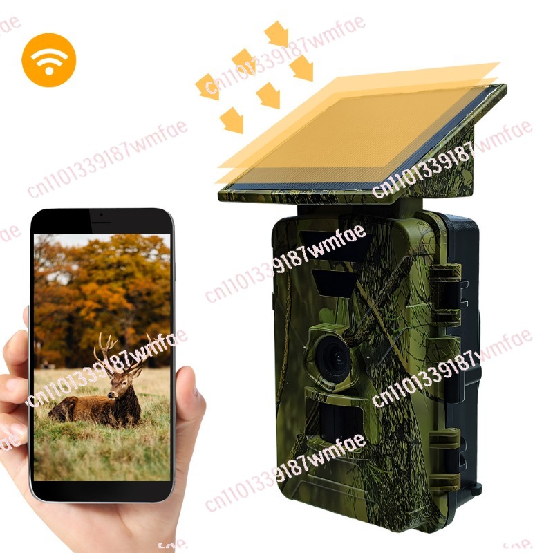 Wildlife Hunting Camera Solar  - Outdoor Hunting Camera Wifi ulasan dan harga