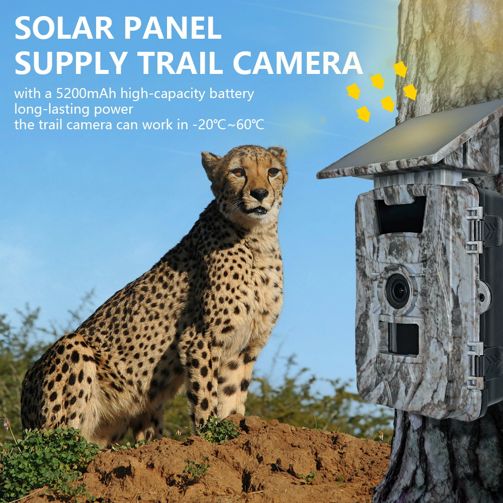 Solar WiFi 4K 60MP Hunting Cam - Outdoor Hunting Camera Wifi ulasan dan harga