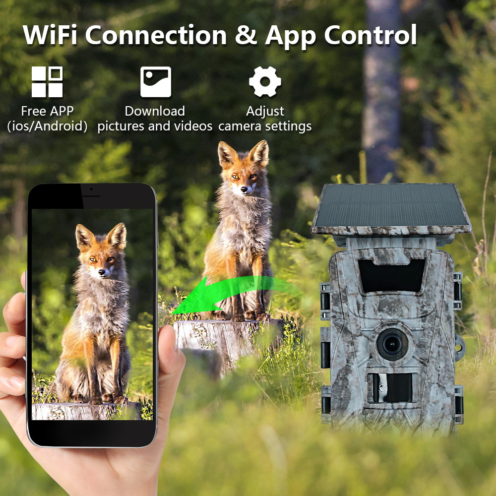 Solar WiFi 4K 60MP Hunting Cam - Outdoor Hunting Camera Wifi ulasan dan harga