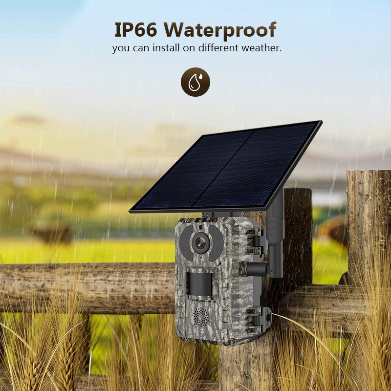 4G 4MP Outdoor Wildlife Huntin - Outdoor Hunting Camera Wifi ulasan dan harga