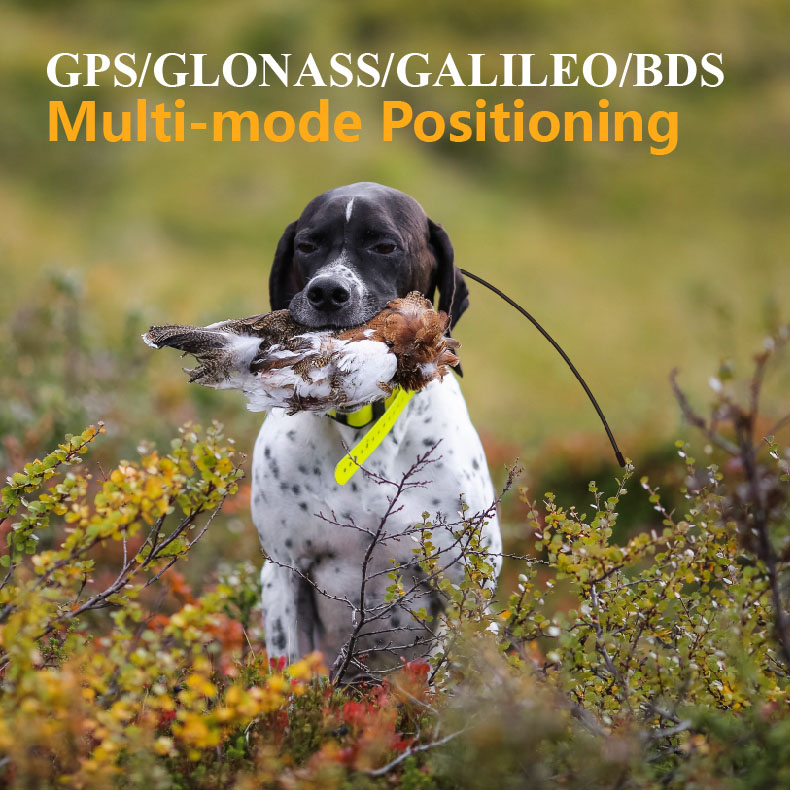 Global GPS Pet Tracker Real Ti - Outdoor Hunting Dog Supply ulasan dan harga